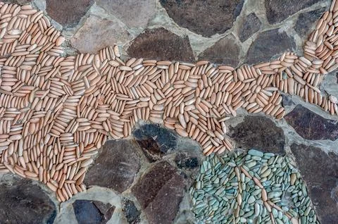 Stone tree Stock Photos