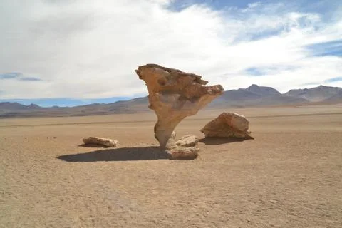 Stone tree rock formation in the desert Stock Photos