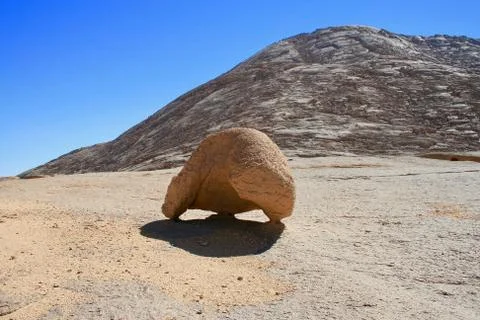 Stone turtle 库存照片