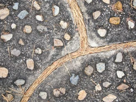 Stone walk path with curve intersection with dried bamboo leaves Stock Photos