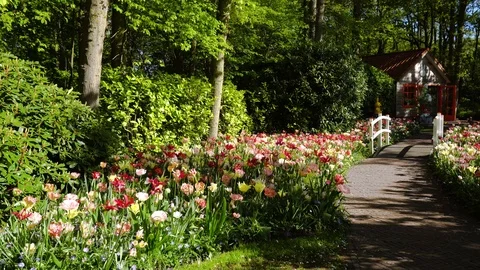 Stone walk way in garden Stock Footage 104801434