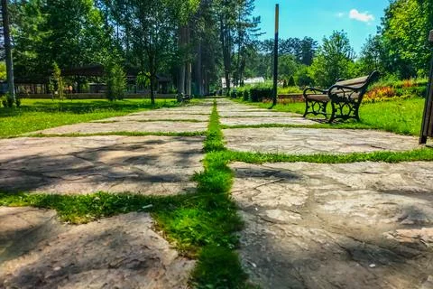 Stone walking path with overgrown grass between the slabs with the prospect.. Stock Photos