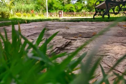 Stone walking path with overgrown grass between the slabs with the prospect o Stock Photos