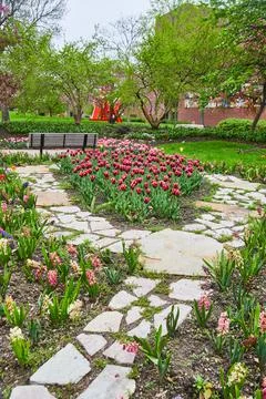 Stone walking path through spring tulip gardens in downtown park Foto stock