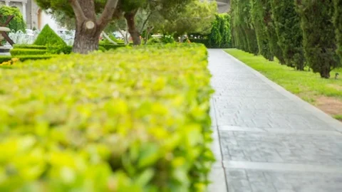 Stone Walkway Garden Hedge High Angle Rack Focus Stock Footage 79537448