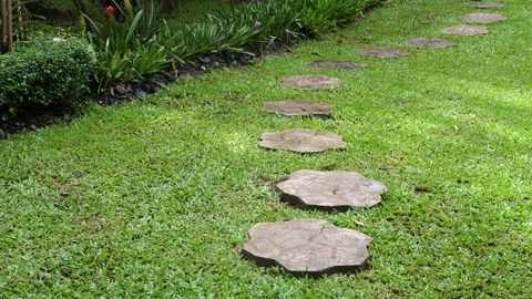 Stone walkway in a marvelous flowered botanical garden Video stock 166874431