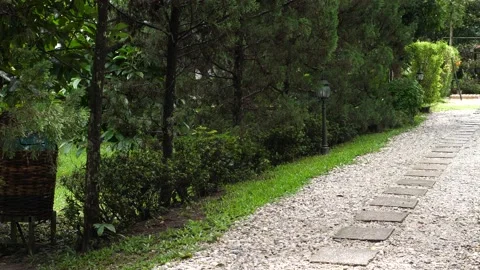 Stone walkway in a marvelous flowered botanical garden, back zoom Stock-Footage 166931908