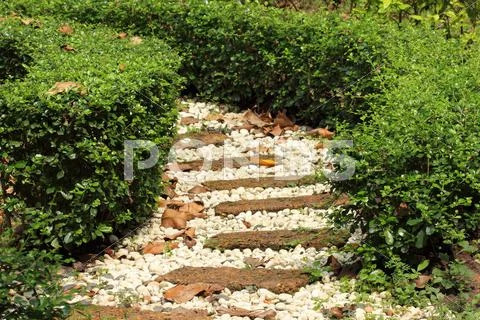 Stone Walkway In The Park