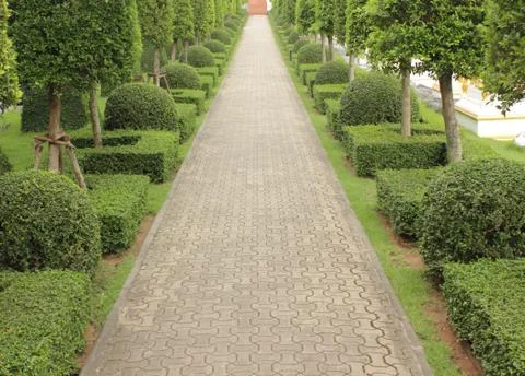 Stone  walkway Stock Photos