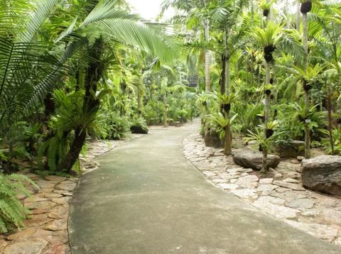 Stone  walkway Stock Photos