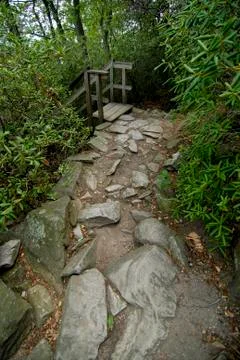 Stone walkway Foto stock