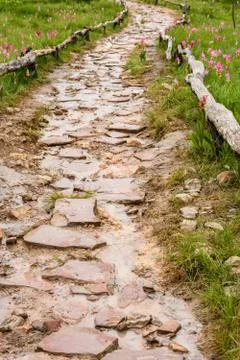 Stone walkway Stock Photos