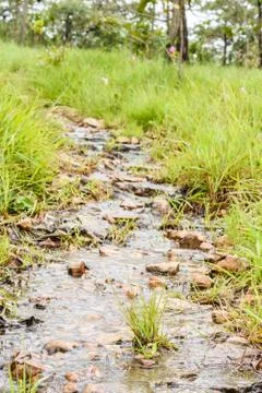 Stone walkway Foto stock