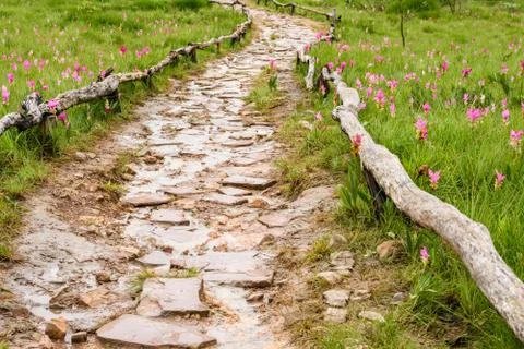 Stone walkway Stock-Fotos
