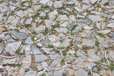 Stone walkways natural  texture background Stock Photos