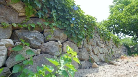 Stone wall 02 Stock Footage 94025262