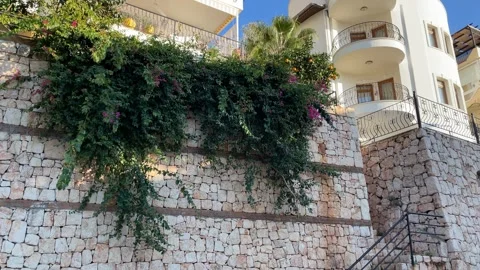 Stone wall adorned with lush greenery and small vibrant flowers under a cle.. Stock Footage 329583442