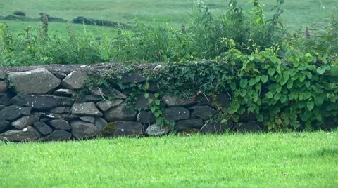 Stone wall and farm fields in Ireland. Stock Footage 40299669
