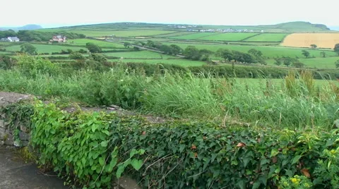 Stone wall and farm fields in Ireland Stock Footage 40326348