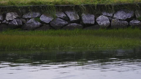 Stone wall and green grass along calm river bank Stock Footage 336458690