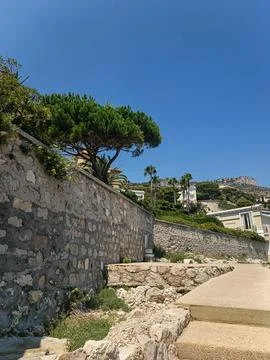 Stone wall and pine trees along the coastal walk in Cap d'Ail Fotos de archivo