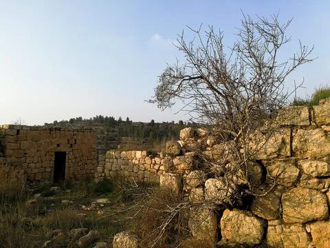 Stone wall and tree Stock Photos
