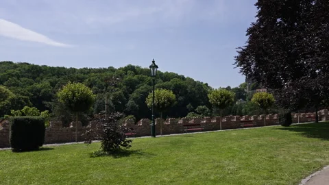 Stone Wall and Trees Above Forest Valley Stock Footage 313844648