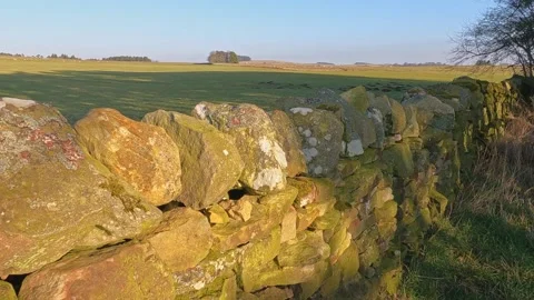 Stone Wall and view in Northumberland Stock Footage 234432995