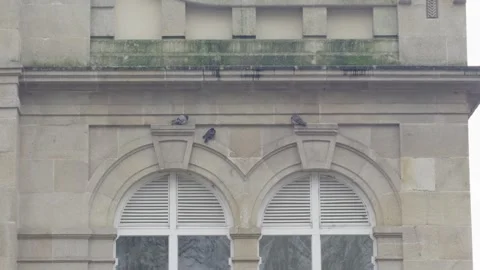 Stone Wall With Arch Windows Pidgeons Standing Foggy Day Ourense Market Stock Footage 328710226