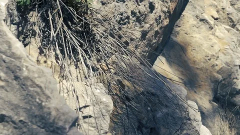 Stone wall on austria movement Stock Footage 112777653