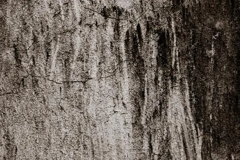 Stone wall background. Natural Cement, Concrete Texture. Rustic Texture Backg Stock Photos