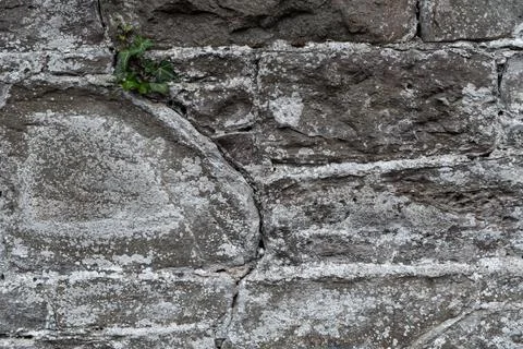 Stone wall background texture gray day large Stock Photos