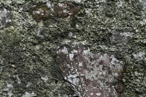 Stone wall background texture gray day large Stock Photos