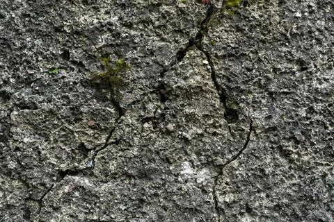 Stone wall background texture gray day large Stock Photos