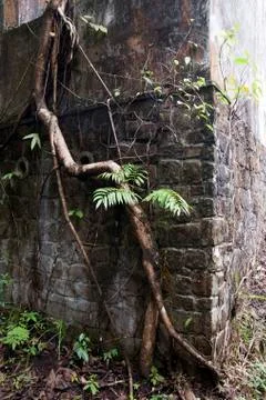 Stone wall at Black Palace complex Stock Photos
