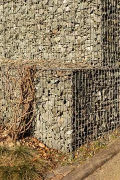 A stone wall is built using wire mesh filled with small rocks. Some dry vin.. Stock Photos
