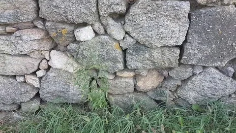 Stone wall in Bulgaria Vídeos de archivo 97206865