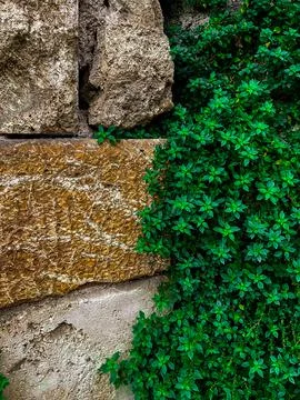 Stone wall close up, background or texture. Part of a large stone for background Stock Photos