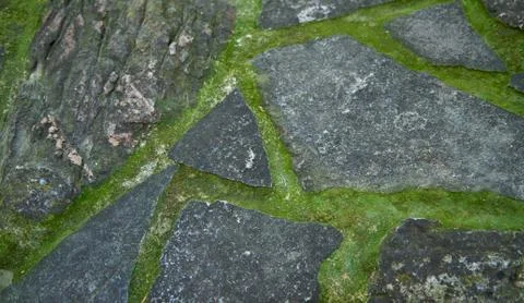 Stone wall close up Stock Photos