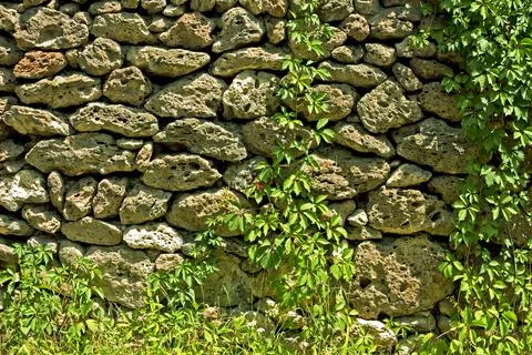 Stone Wall closeup. Stock Photos
