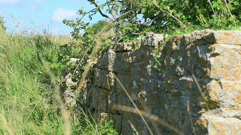 Stone wall in the country side Stock Footage 40699425