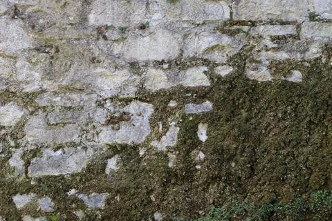 Stone wall covered in moss and lichen in a shaded area of a garden Stock Photos