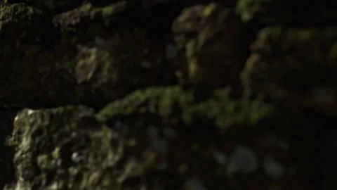 Stone wall covered with moss in a shaded area at an old site Stock Footage 340744743