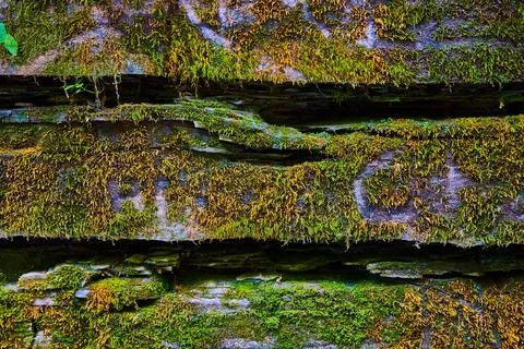 Stone wall with cracks texture and covered in moss Stock Photos