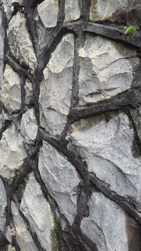 Stone Wall Detail. Close View Of Weathered Masonry. Textured Aged Stone Wall Vidéo 331356898