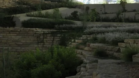 A stone wall dotted with greenery and flowers. Evening. Stock Footage 264975873
