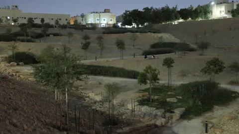 A stone wall dotted with greenery and flowers. Evening. Видео 268720683