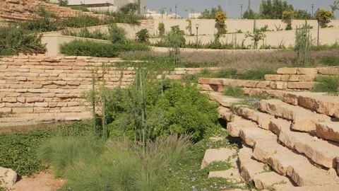 A stone wall dotted with greenery and flowers Stock Footage 268722055