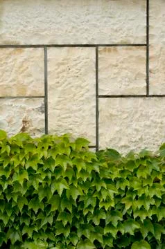 Stone wall dotted with wine Stock Photos