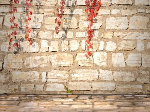 Stone wall with drooping branches of Parthenocissus Stock Illustration